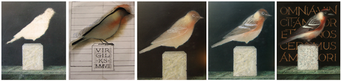 Block in of BB Warbler & Virgil