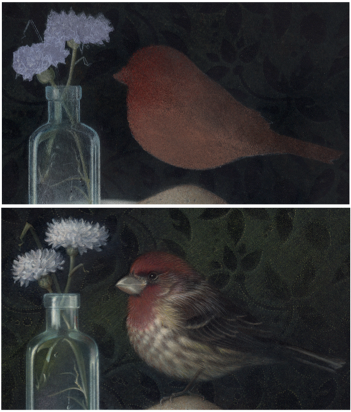 Purple Finch and Bachelor Buttons