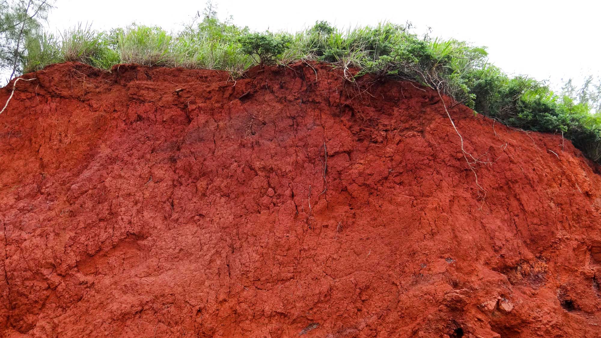 Pigments from the Earth: Part 1